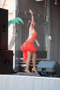IMG_6249